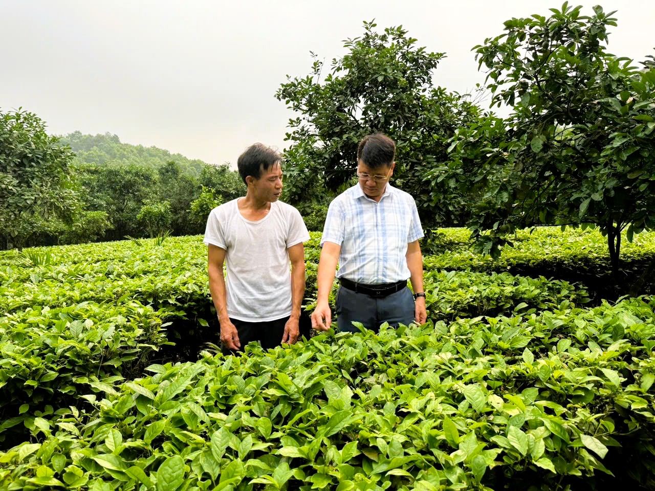 anh tin bai